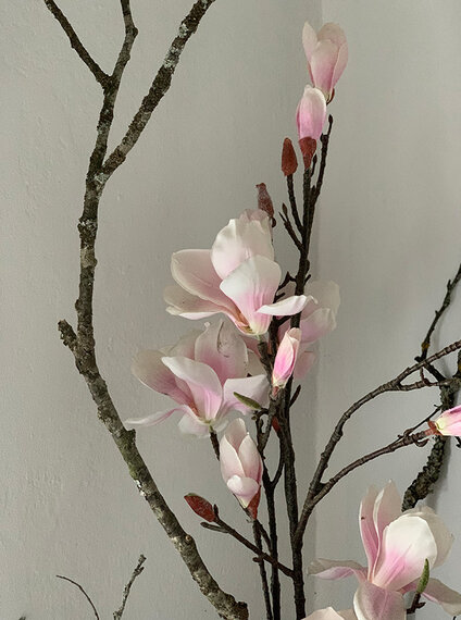 IMG__0014_image00015